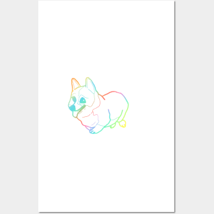 Holographic fat corgi magnet 2 Posters and Art